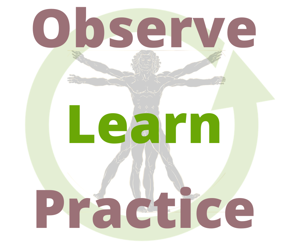 observe, practice, learn